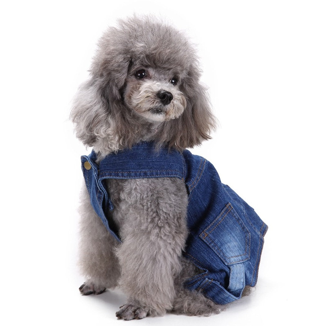Ozzie - Button Denim Look Dog Apparel