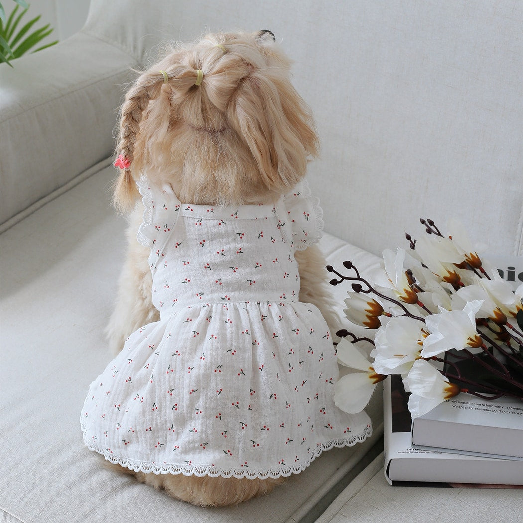 Ozzie - Cherry Print Short Sleeve Pet Dress