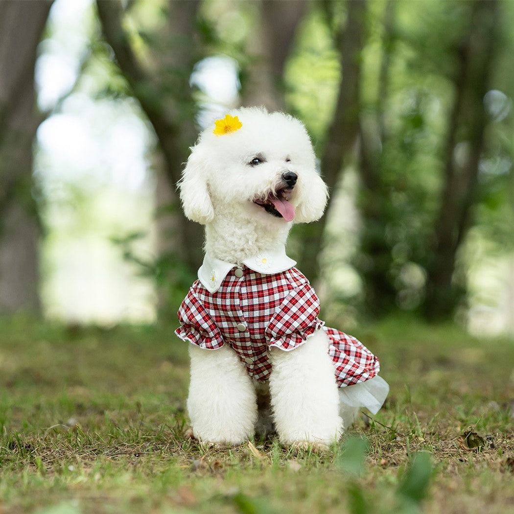 Ozzie - Spring Summer Plaid Princess Style Dog Dress