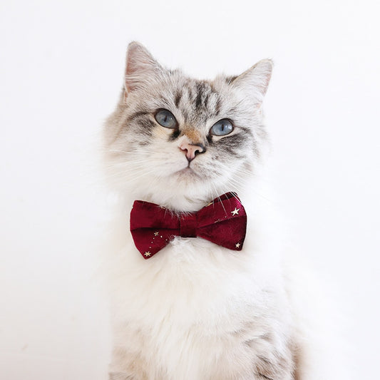 Mokka - Decorative Bow Tie Collar with Bell for Cats