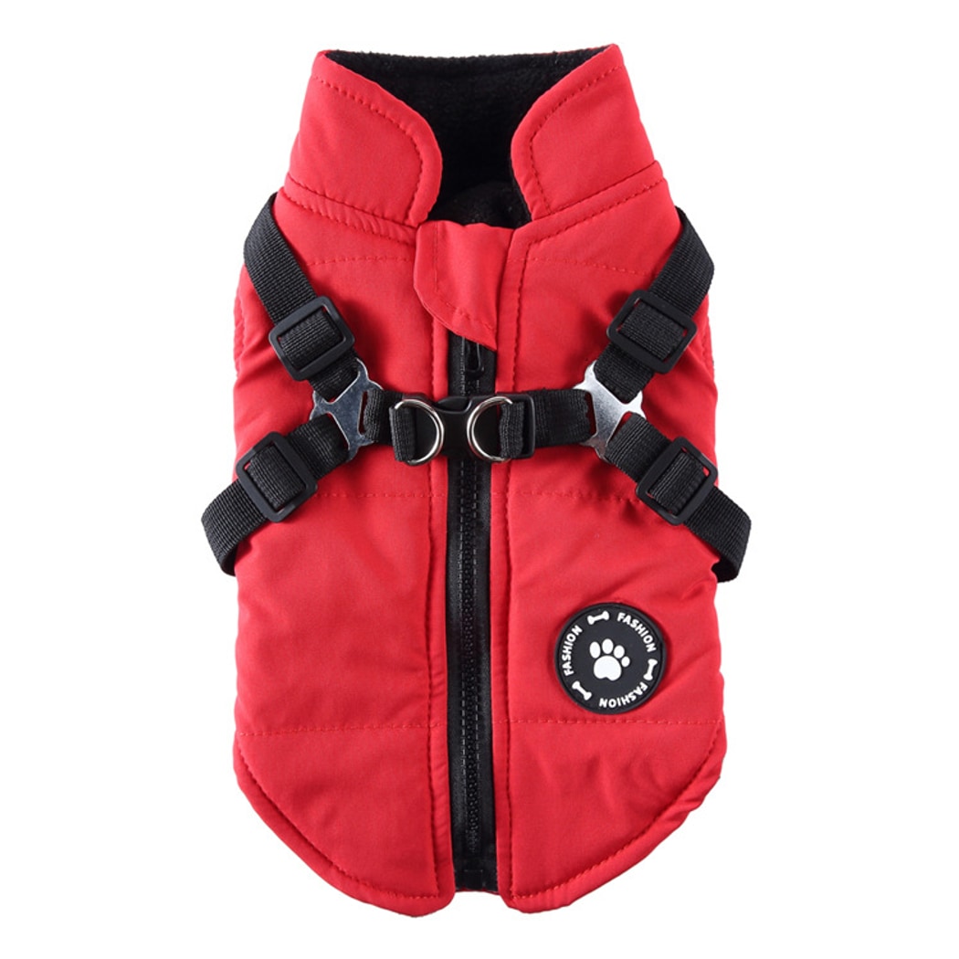 Ozzie - Outdoor Walking Winter Dog Jacket