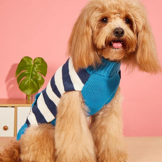 Ozzie - Striped Zip Front Pocket Detail Dog Sweater