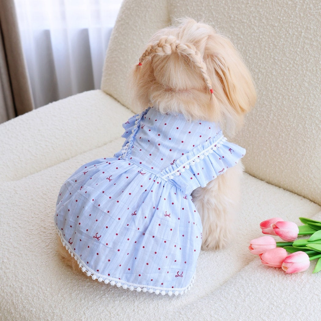 Ozzie - Light Blue Polka Dot Bow Cat and Dog Dress