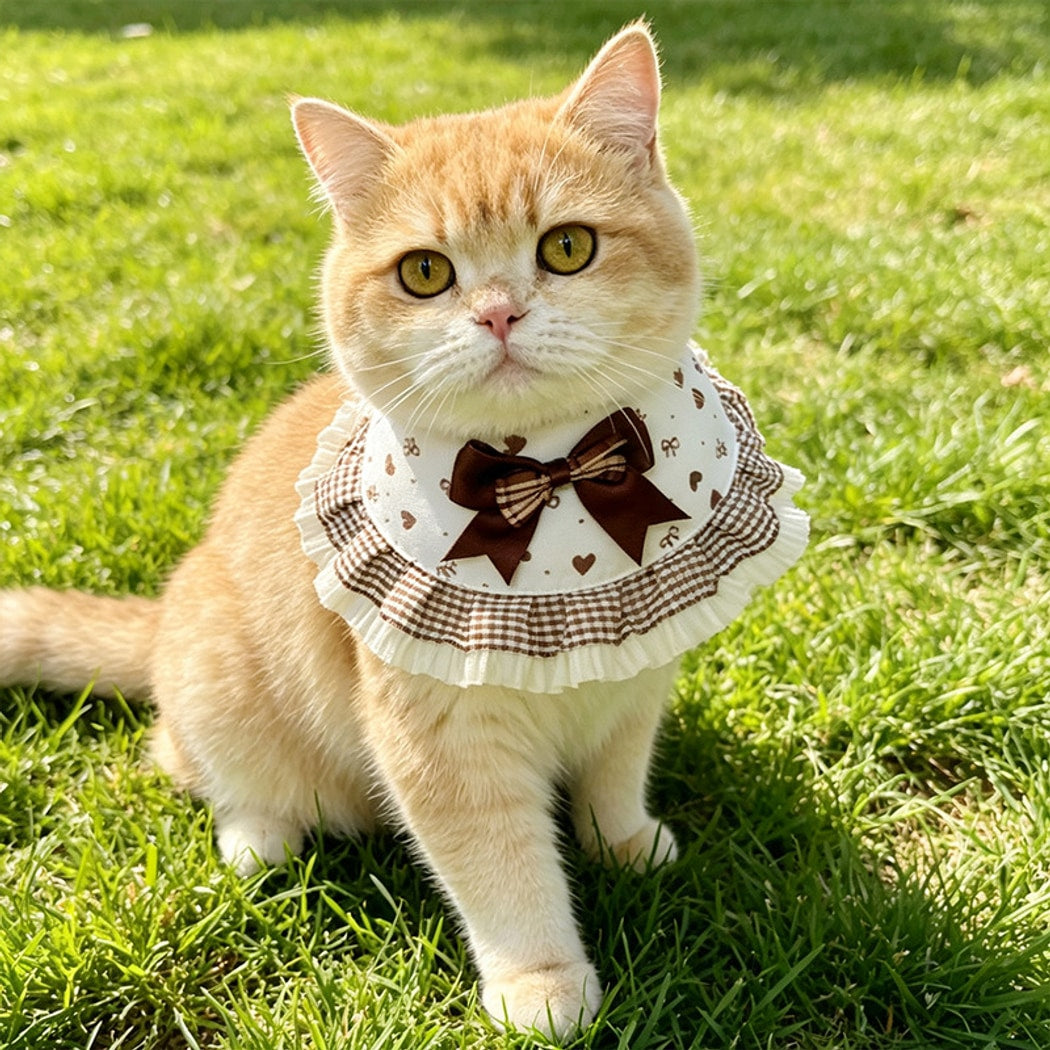 Mokka - Princess Style Bow Detail Pet Bib