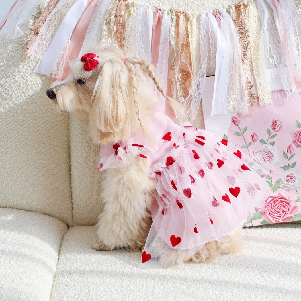 Ozzie - Casual Heart Print Dog and Cat Pet Dress