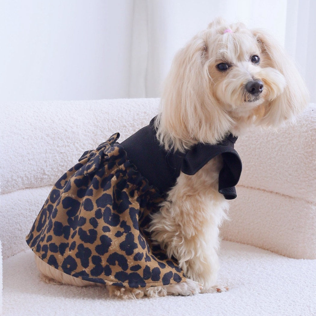 Ozzie - Black Leopard Print Bubble Skirt Pet Dress