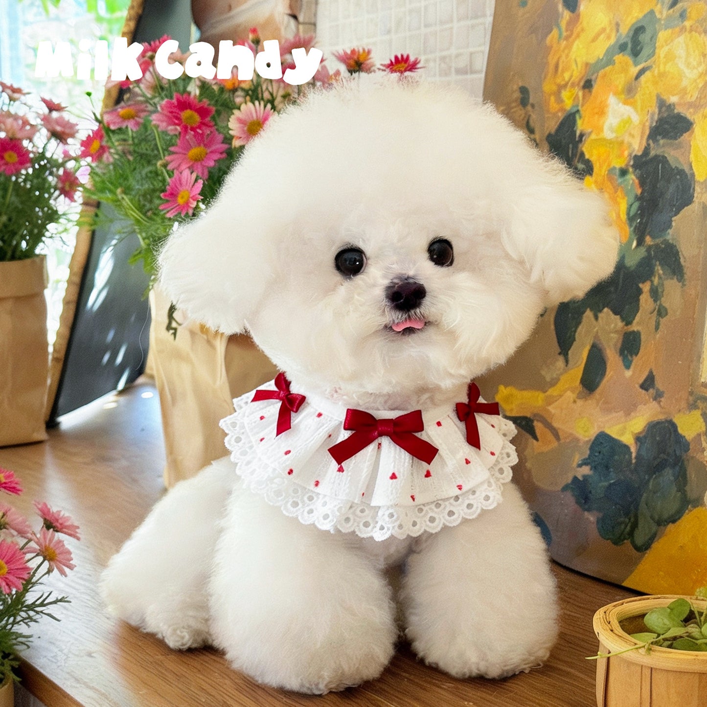 狗狗口水巾宠物围脖猫咪围兜小配饰小狗配饰小猫围巾装饰比熊围嘴