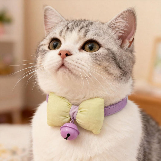 Mokka - Bow Bell Adjustable Cat Collar