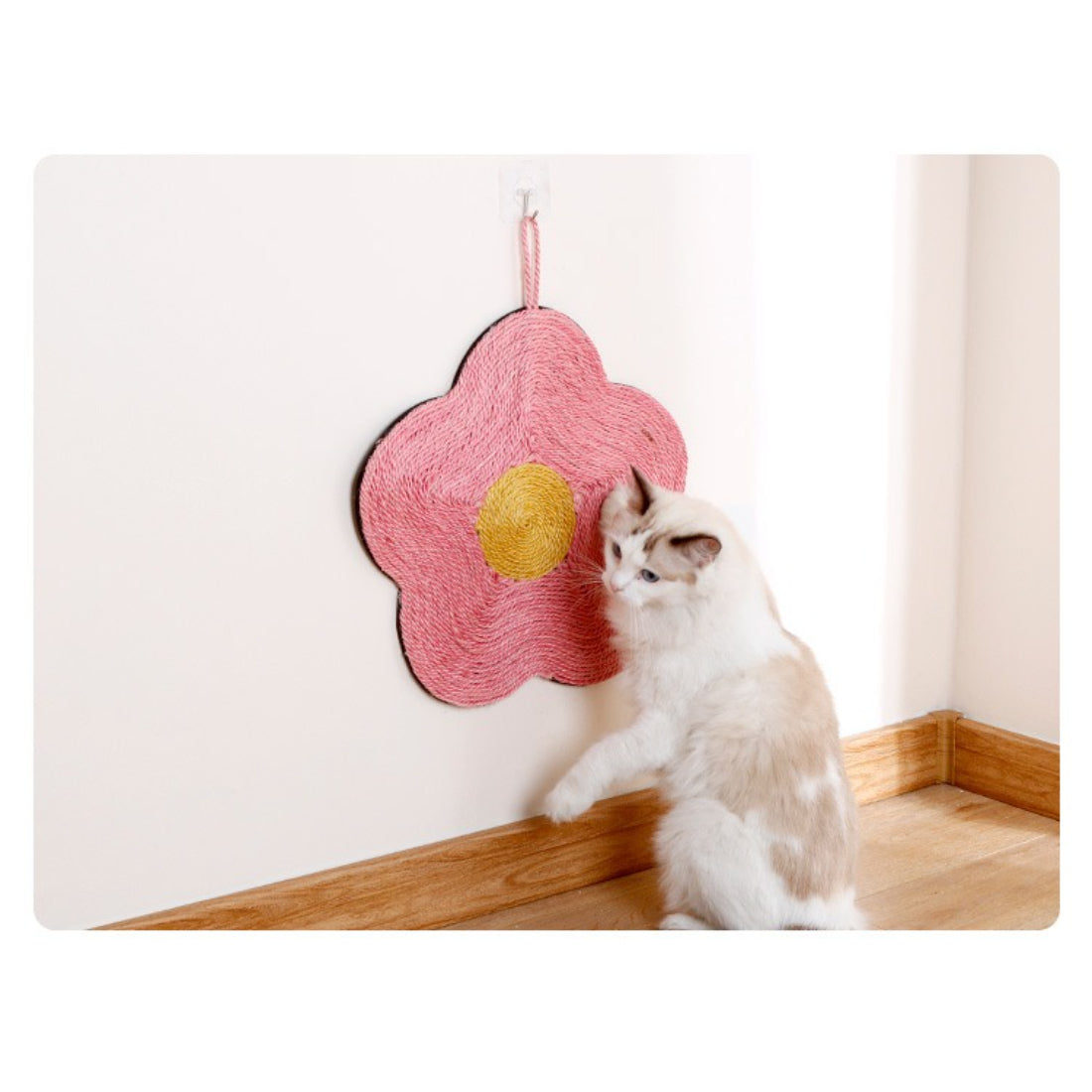 Moo - Flower Hanging Wall Cat Scratcher Toy