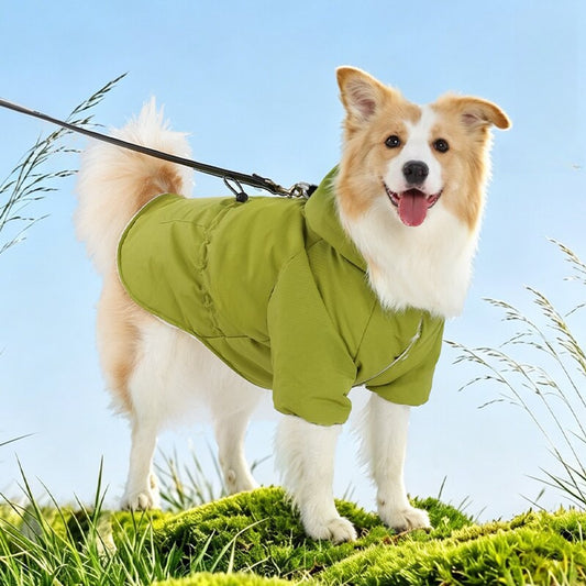 Ozzie - Sports Style Outdoor Walking Dog Jacket