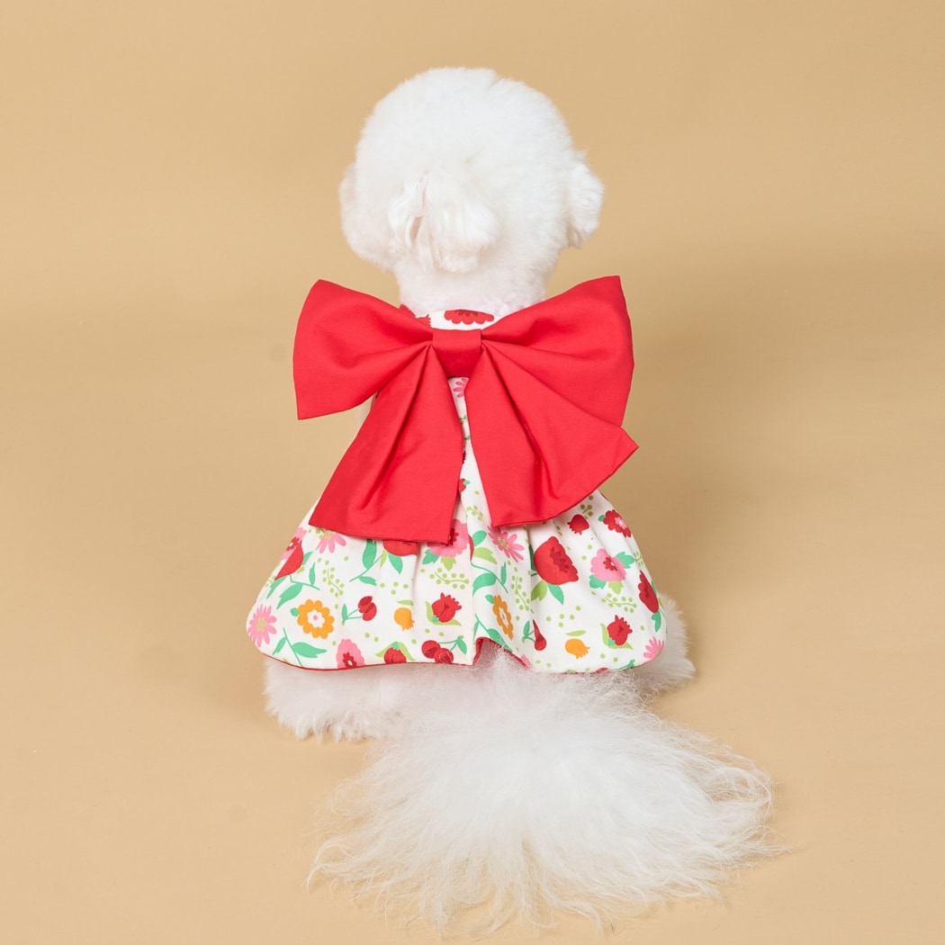Ozzie - Flower Print Bow Pet Dress