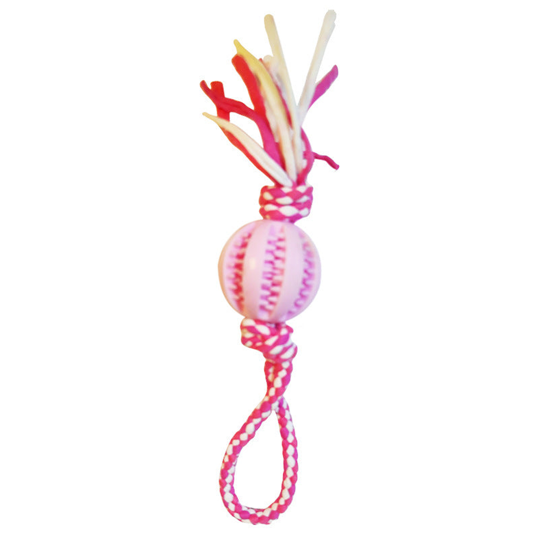 Pink ball-and-rope dog toy, front view