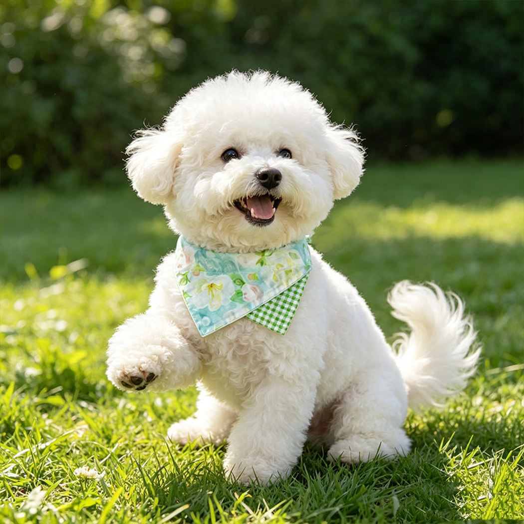 Green floral pet neckwear worn by a dog outdoors