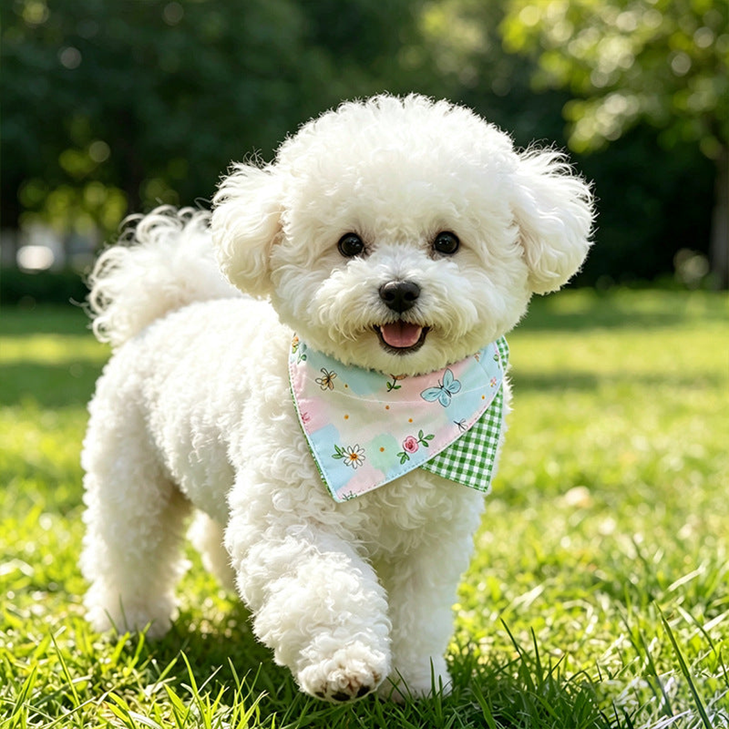 Small white dog wearing pastel butterfly-floral pet neckwear outdoors