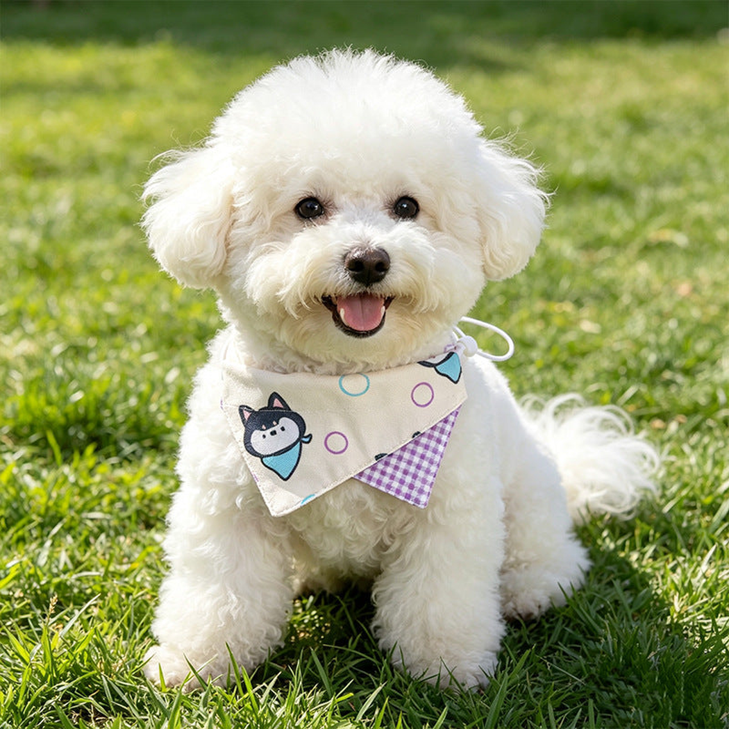 Husky print pet neckwear worn by a white dog outdoors