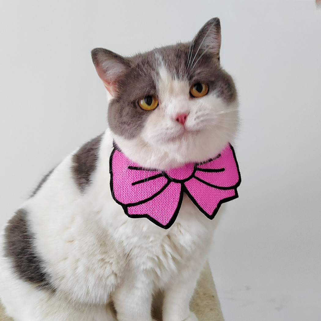 Gray-and-white cat wearing pink bow cat neckwear