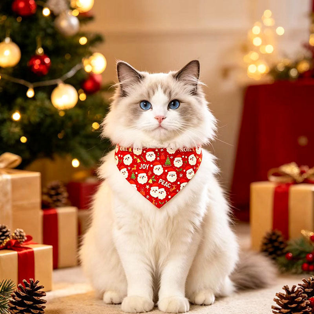 Cat wearing Red Santa pet neckwear beside a decorated tree and wrapped presents.