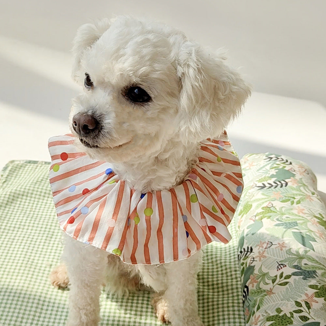 White dog wearing Orange Red striped, dotted pet neckwear on a green checked cushion.