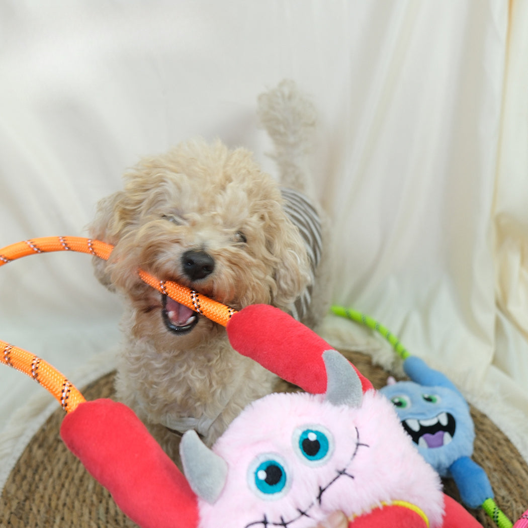 Petkin - Monster Plush Rope Loop Dog Toy
