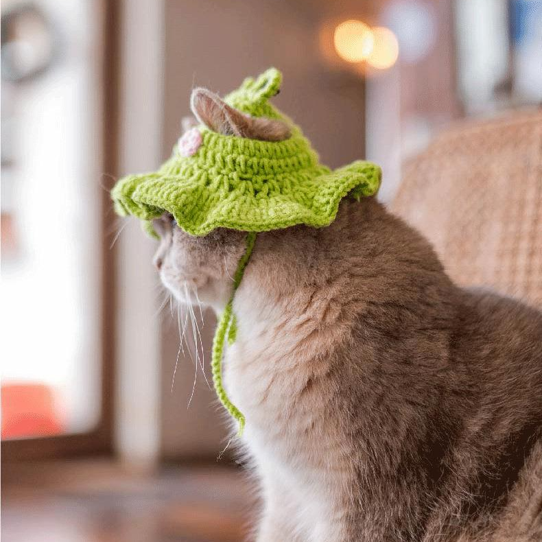 Ozzie - Cute Pet Hat for Small Animals