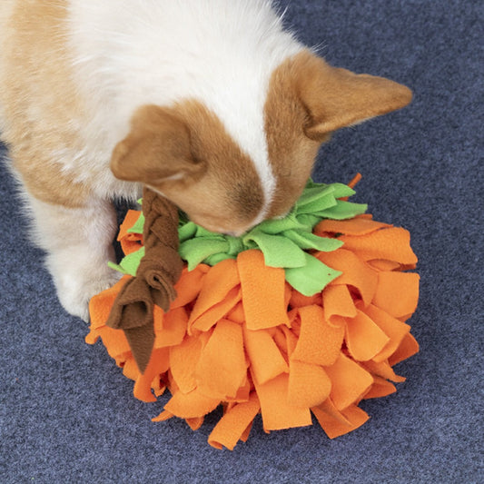 Dog using the Snuffy pumpkin snuffle ball