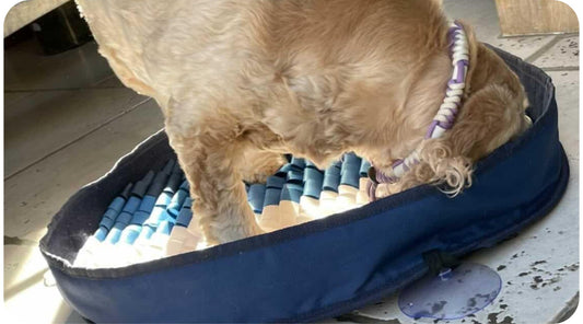 Dog searching for kibble in a snuffle mat