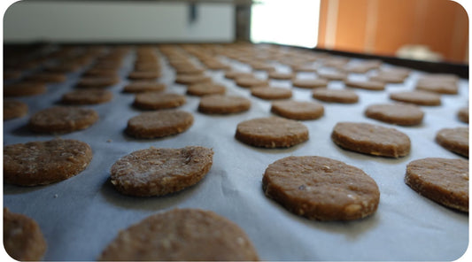Rows of homemade dog treats cooling on a lined baking sheet