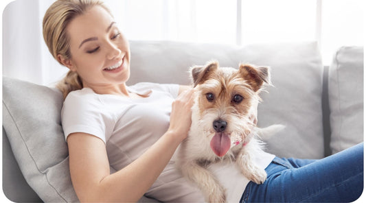 Woman relaxing on a sofa with her dog