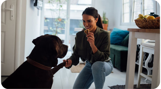 Woman training a dog with treat rewards