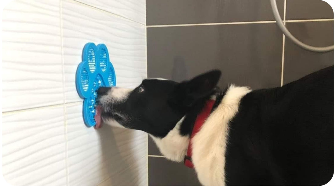Lick mat attached to a wall with suction cups