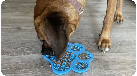 Dog licking food from a textured lick mat