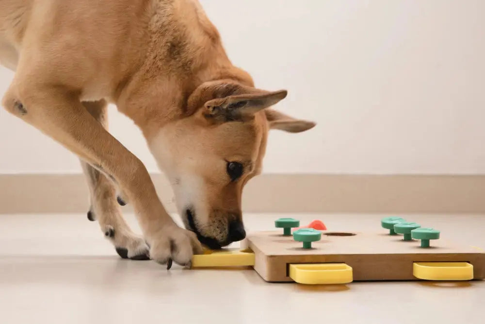 Dog working on a wooden puzzle toy