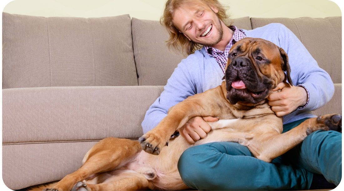 Man playing with a large dog