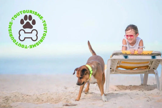 Dog and owner on a beach beside a travel label