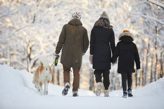 Family walking a dog through a snowy forest