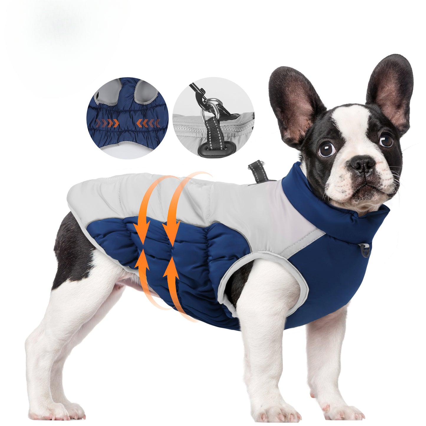 Ozzie - Colorful Waterproof Reflective Winter Jacket for Pets