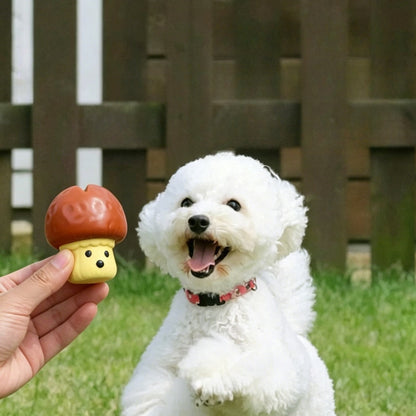 Petkin - Playful Food Shape Indoor Squeaky Dog Toy