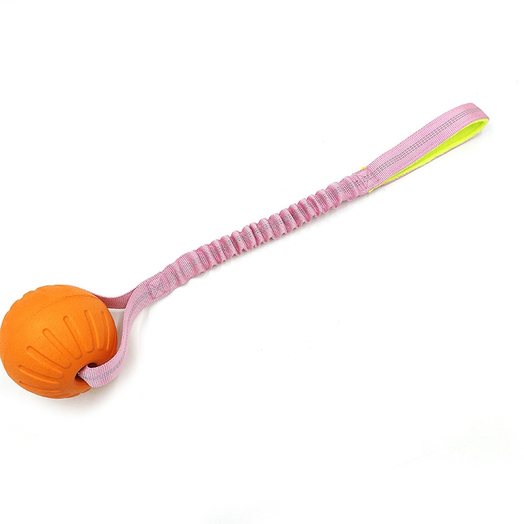 Petkin - Floating Rope Handle Dog Ball Toy