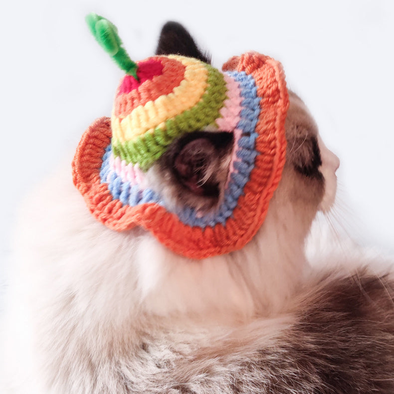 Rainbow Pet Knit Hat