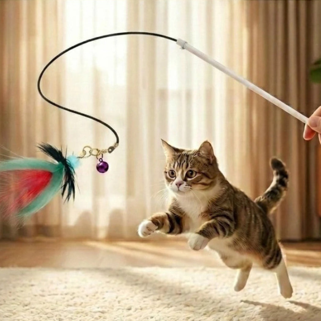 MOO Feather Bug Cat Teaser Refill Set