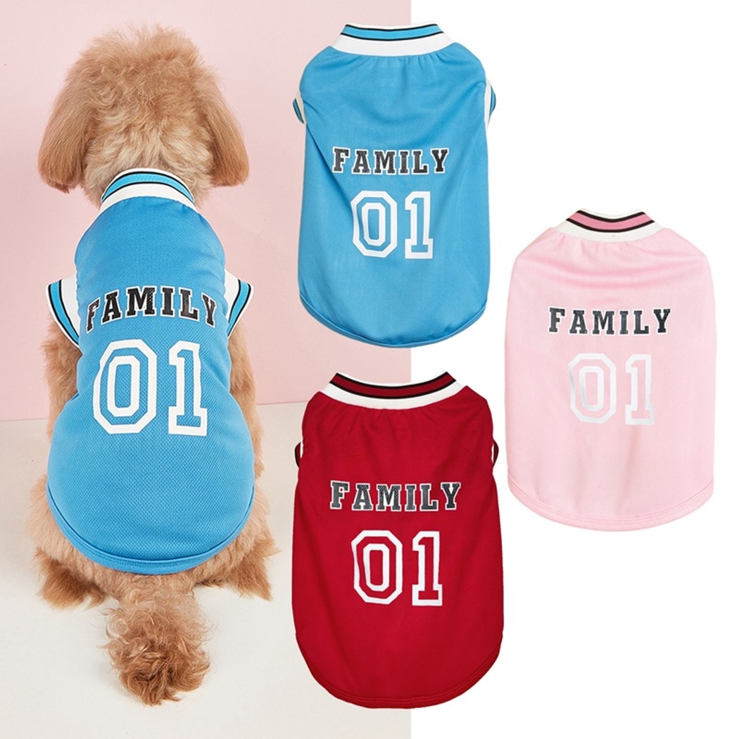 Ozzie - Colorblock Rib Trim Dog Vest