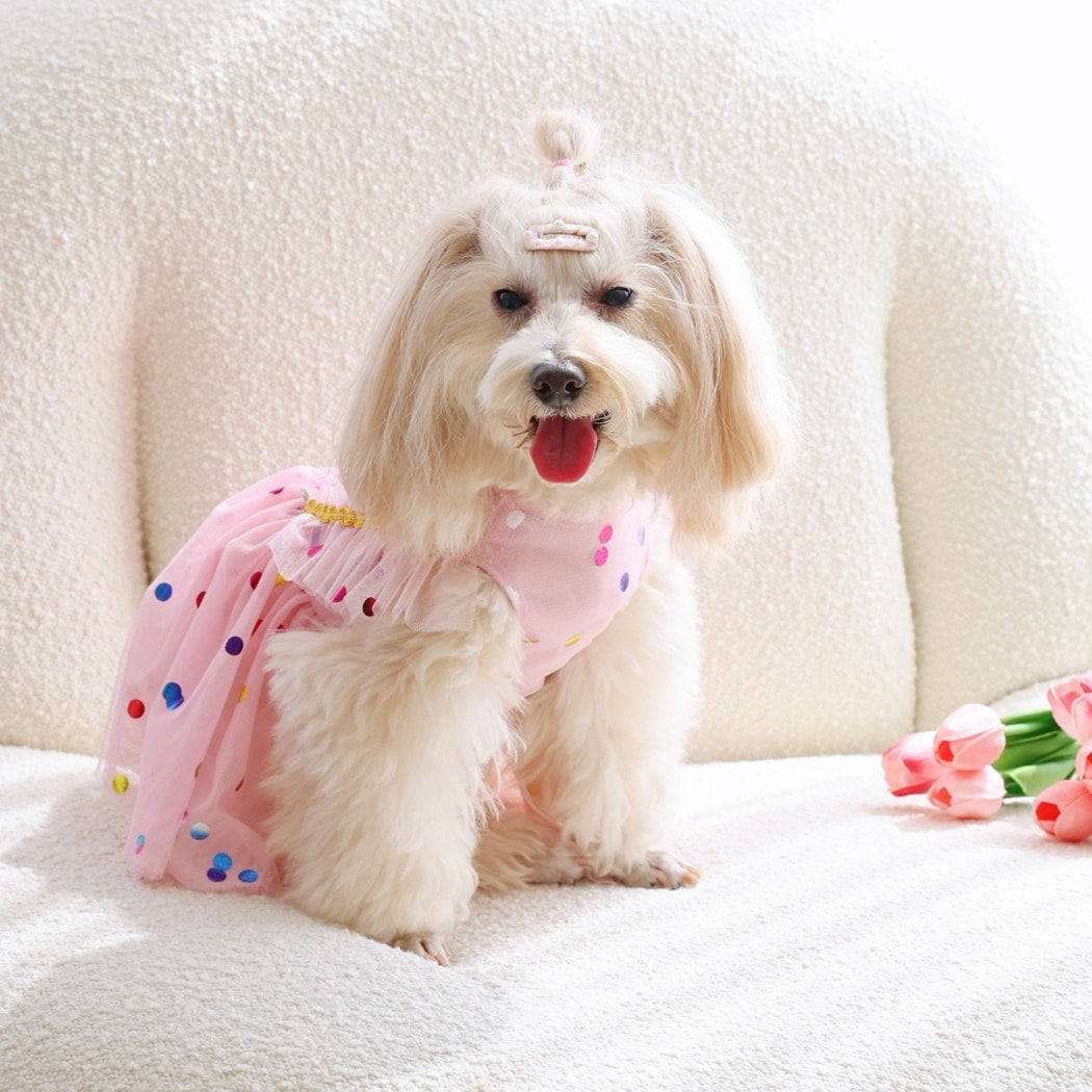 Ozzie - Polka Dot Tulle Dog Dress