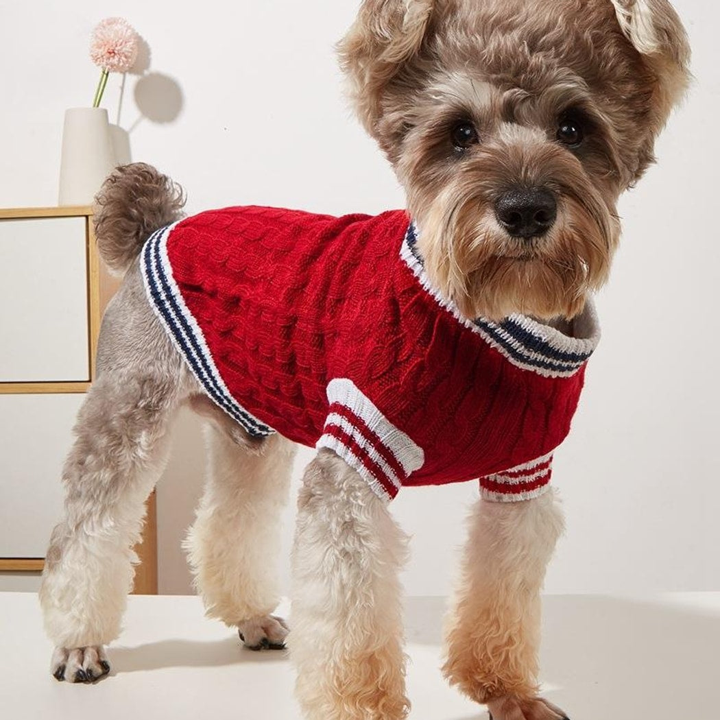 Ozzie - Round Neck Knit Pet Sweater Vest