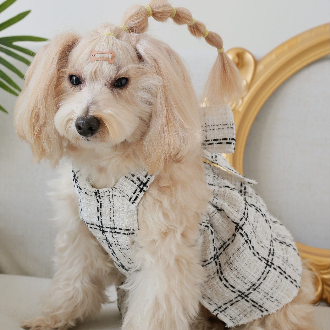 Ozzie - Bow Detail Cat and Dog Suspender Dress