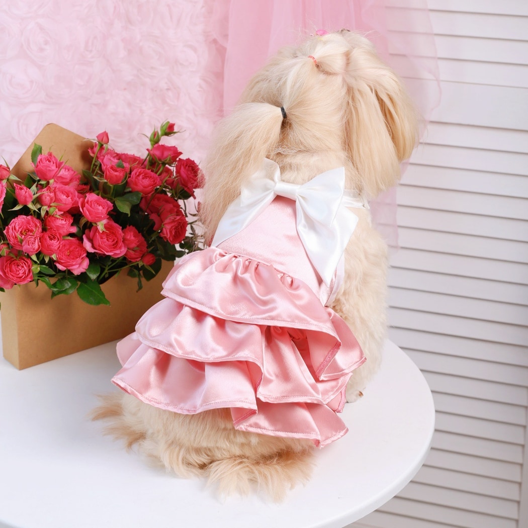 Ozzie - Ruffle Hem Bow Accent Pet Dress Dress