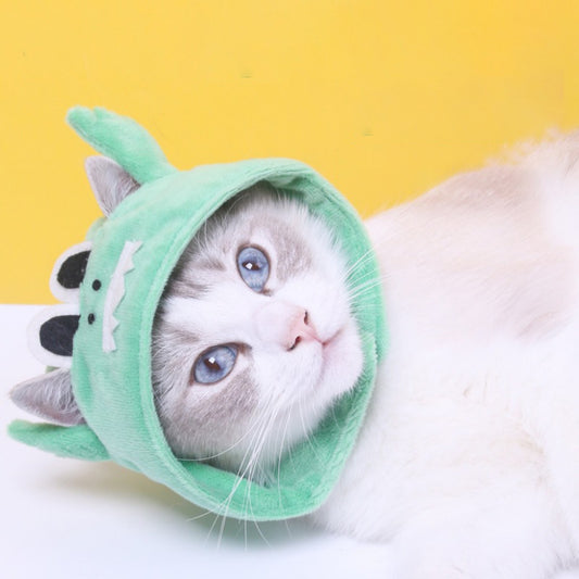 Ozzie - Dino Cat Costume Hat