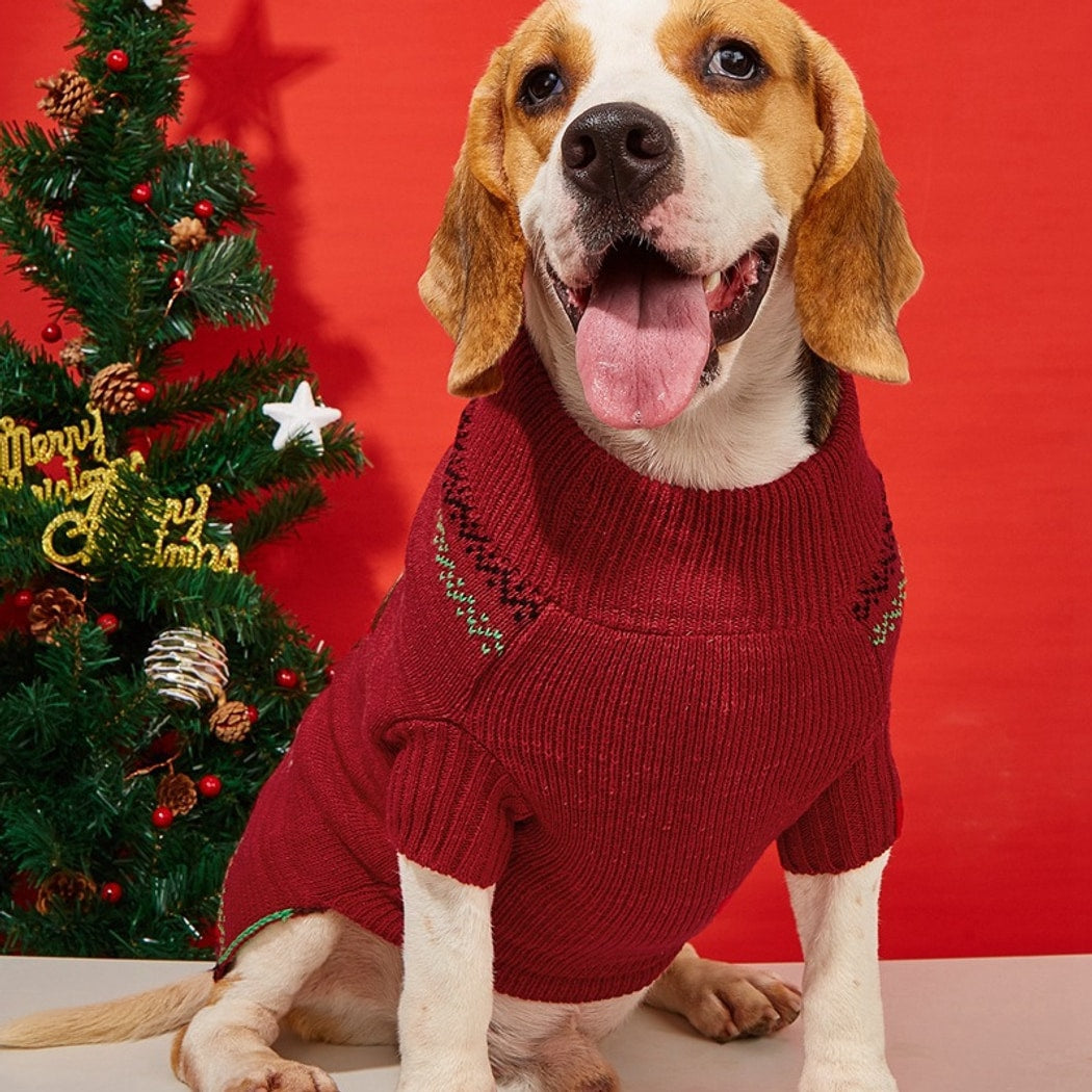 Christmoo - Festive Red Nose Reindeer Christmas Dog Sweater
