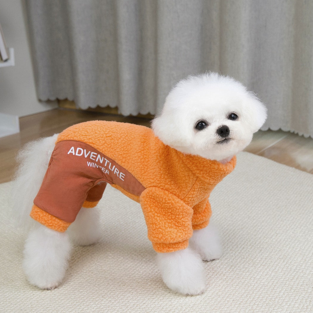 Ozzie - Letter Trim Color Block Dog Jumpsuit
