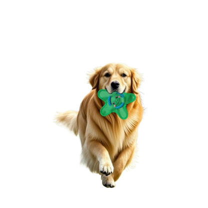 Petkin - Cartoon Face Star-Shaped Plush Dog Toy