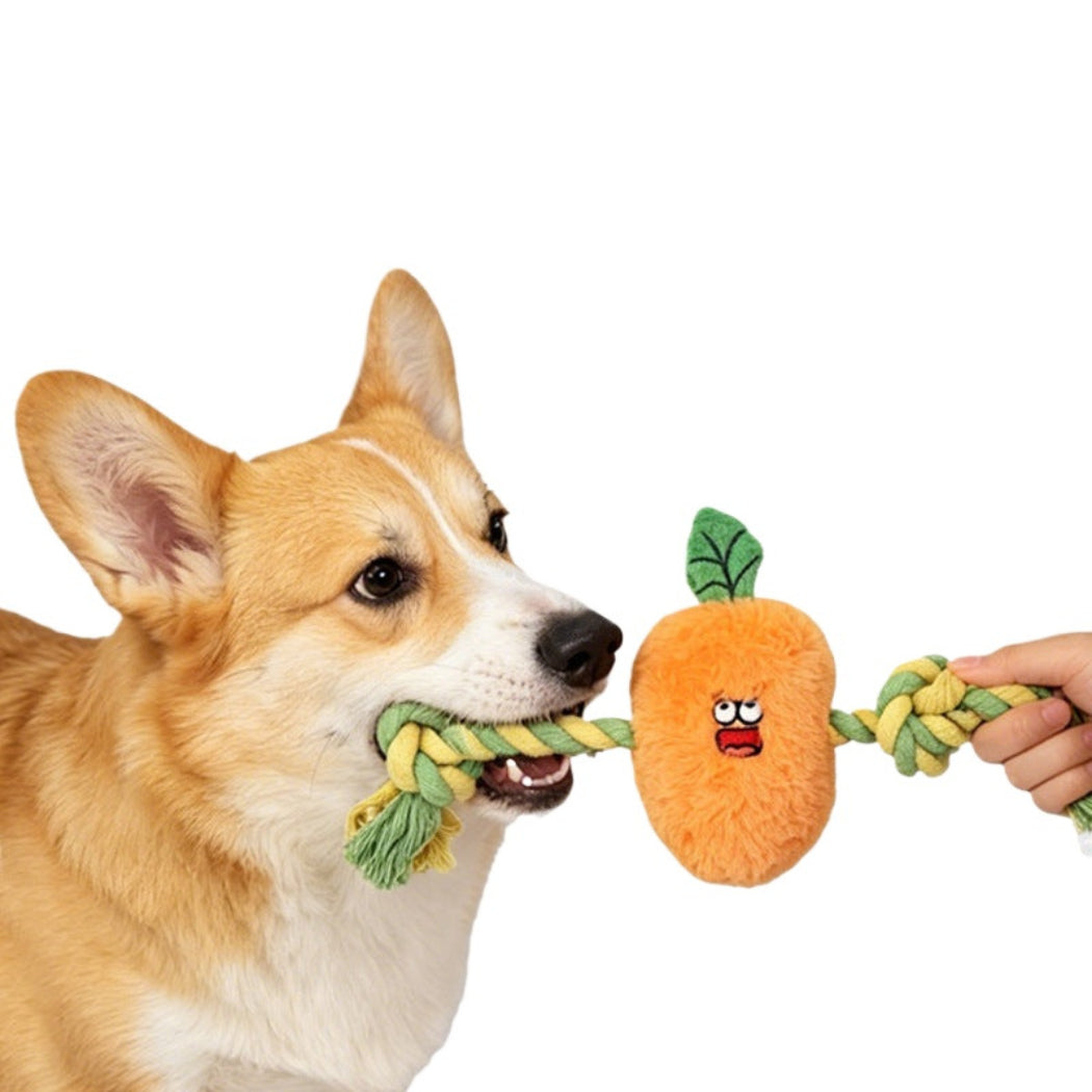 Petkin - Rope-Arm Vegetable-Shaped Plush Dog Toy